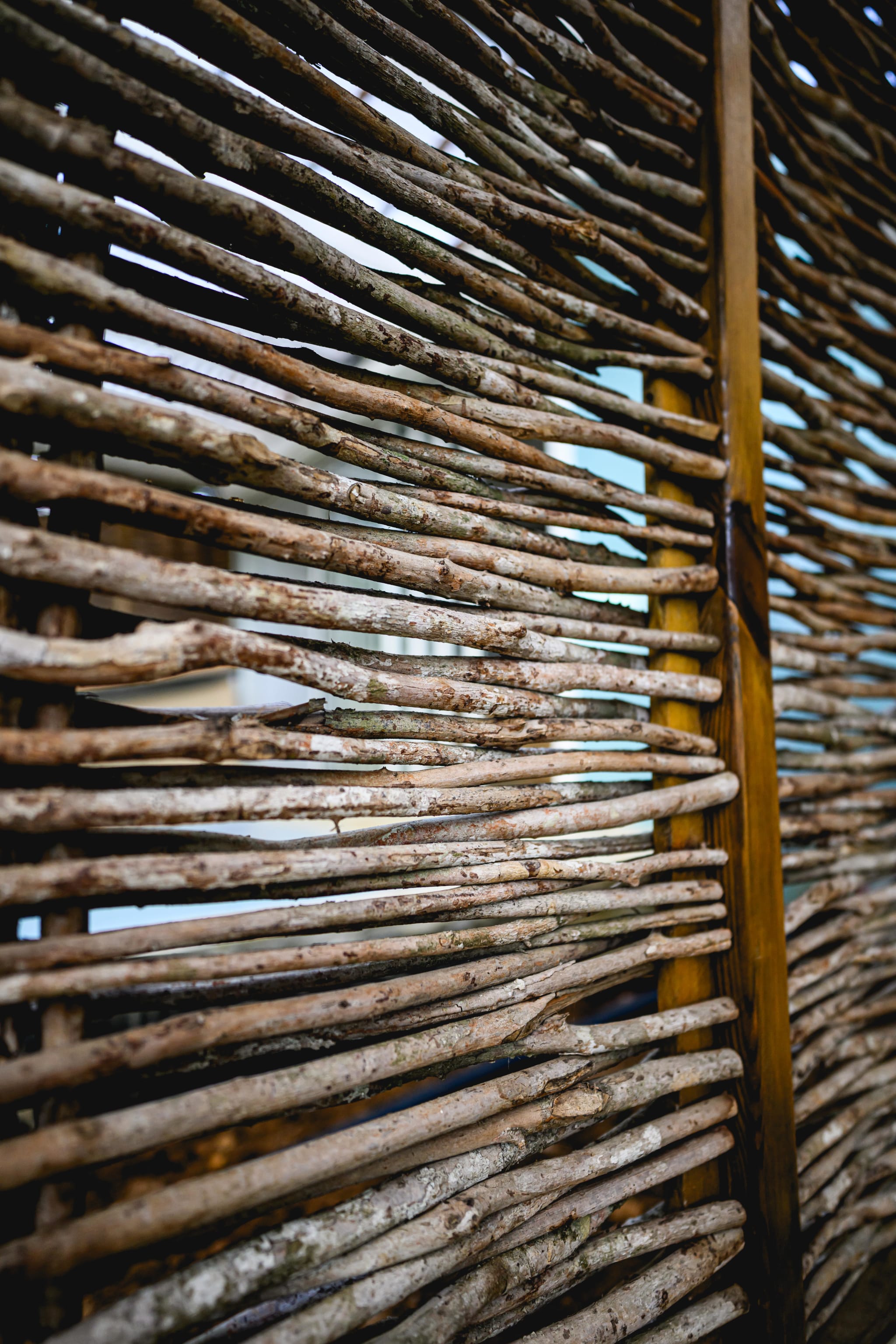 CocoonHuts Residenzen